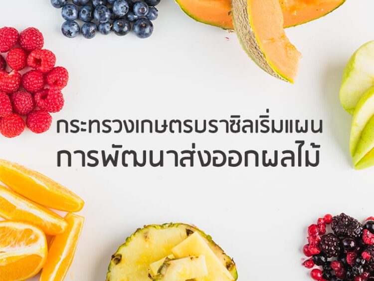 กระทรวงเกษตรบราซิลเริ่มแผนการพัฒนาส่งออกผลไม้