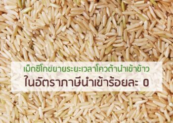 เม็กซิโกขยายระยะเวลาโควต้านำเข้าข้าวในอัตราภาษีนำเข้าร้อยละ 0