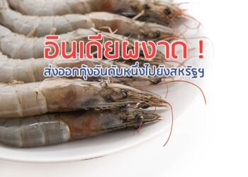 อินเดียผงาด ! ส่งออกกุ้งอันดับหนึ่งไปยังสหรัฐฯ