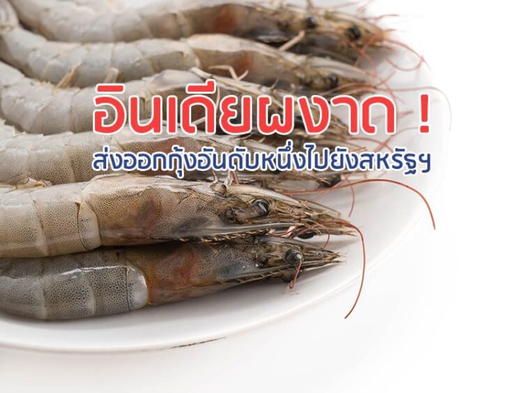 อินเดียผงาด ! ส่งออกกุ้งอันดับหนึ่งไปยังสหรัฐฯ