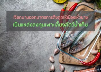 เวียดนามออกมาตรการดึงดูดให้เมืองเหิ่วยางเป็นแหล่งลงทุนเพาะเลี้ยงสัตว์น้ำเค็ม