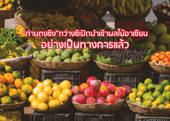 “ด่านตงซิง”กว่างซีเปิดนำเข้าผลไม้อาเซียนอย่างเป็นทางการแล้ว