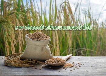 ราคาส่งออกข้าวเวียดนามแซงหน้าไทย