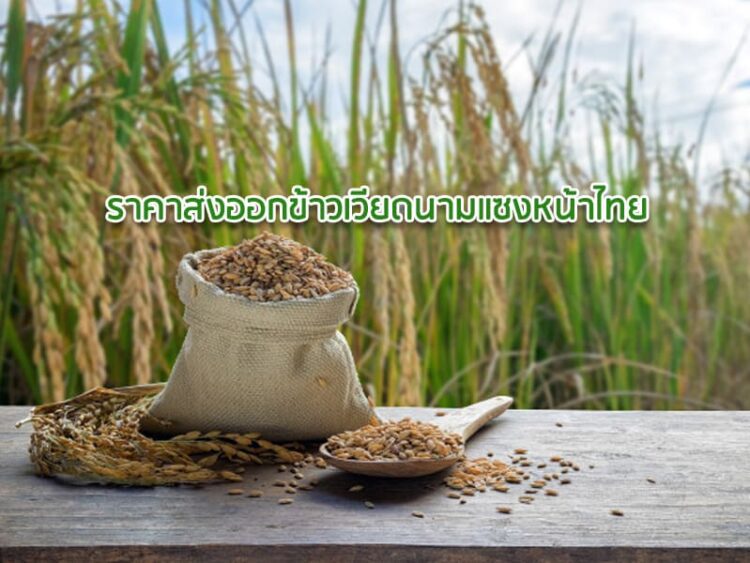 ราคาส่งออกข้าวเวียดนามแซงหน้าไทย