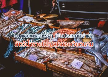 EU แซงหน้าสหรัฐฯ เป็นประเทศที่นำเข้าสัตว์น้ำรายใหญ่สุดของเวียดนาม