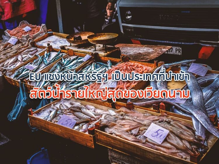 EU แซงหน้าสหรัฐฯ เป็นประเทศที่นำเข้าสัตว์น้ำรายใหญ่สุดของเวียดนาม