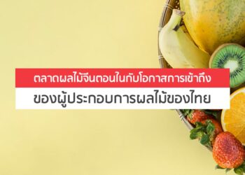 ตลาดผลไม้จีนตอนในกับโอกาสการเข้าถึงของผู้ประกอบการผลไม้ของไทย