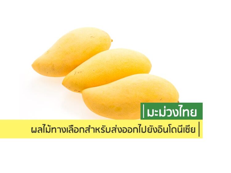 มะม่วงไทย: ผลไม้ทางเลือกสำหรับส่งออกไปยังอินโดนีเซีย