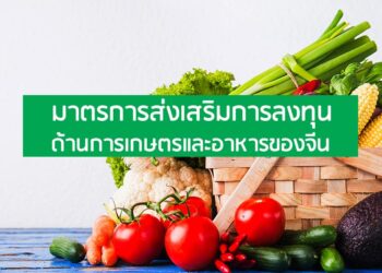 มาตรการส่งเสริมการลงทุนด้านการเกษตรและอาหารของจีน