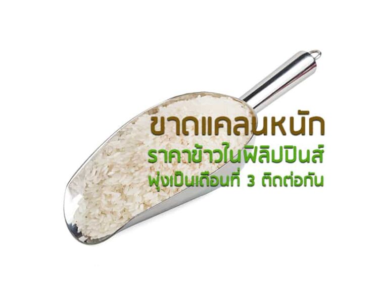 ขาดแคลนหนัก ราคาข้าวในฟิลิปปินส์พุ่งเป็นเดือนที่ 3 ติดต่อกัน