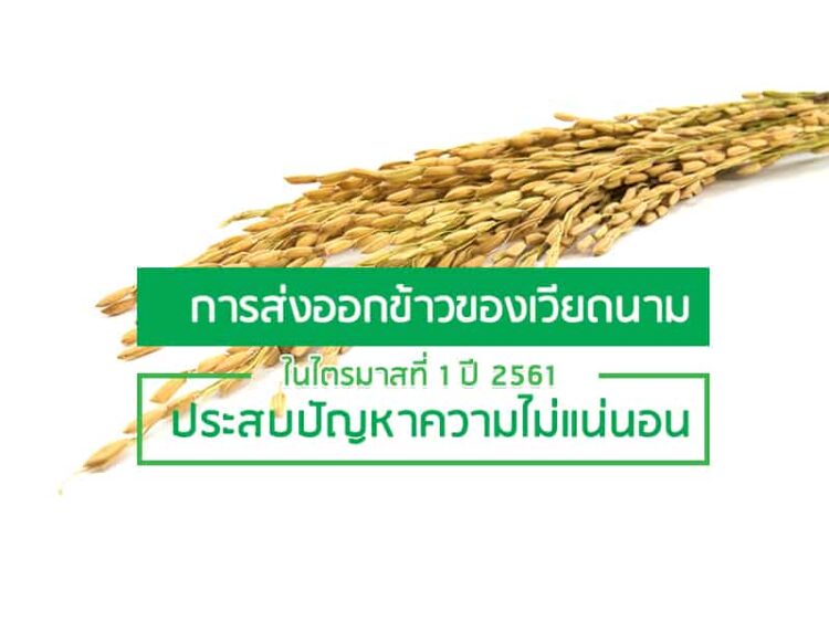 การส่งออกข้าวของเวียดนามในไตรมาสที่ 1 ปี 2561 ประสบปัญหาความไม่แน่นอน