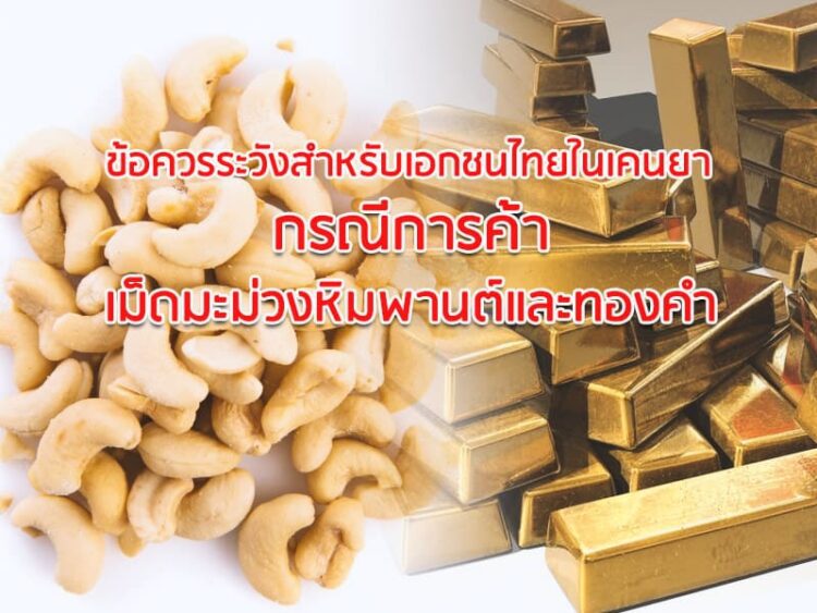ข้อควรระวังสำหรับเอกชนไทยในเคนยา กรณีการค้าเม็ดมะม่วงหิมพานต์และทองคำ