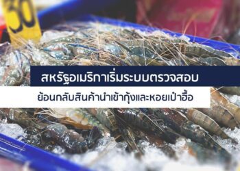 สหรัฐอเมริกาเริ่มระบบตรวจสอบย้อนกลับสินค้านำเข้ากุ้งและหอยเป๋าฮื้อ