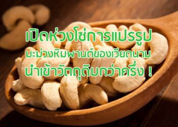 เปิดห่วงโซ่การแปรรูปเม็ดมะม่วงหิมพานต์ของเวียดนาม นำเข้าวัตถุดิบกว่าครึ่ง !