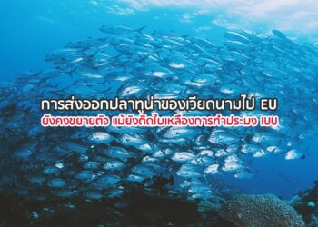 การส่งออกปลาทูน่าของเวียดนามไป EU ยังคงขยายตัว แม้ยังติดใบเหลืองการทําประมง IUU