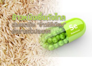 ข้าวหนิงเซี่ยดังไกล ต่อยอดเป็น “ข้าวซิลีเนียม” ส่งขายทั่วประเทศ