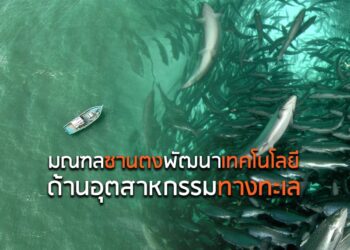 มณฑลซานตงพัฒนาเทคโนโลยีด้านอุตสาหกรรมทางทะเล