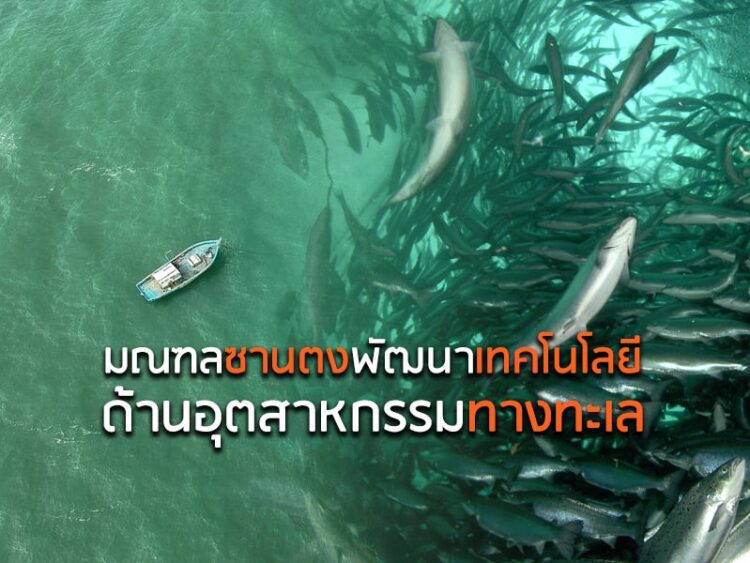 มณฑลซานตงพัฒนาเทคโนโลยีด้านอุตสาหกรรมทางทะเล