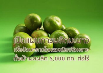 เปิดแผนการผลิตมะนาวเพื่อป้อนตลาดโลกของเมืองจือหยาง ตั้งเป้าผลผลิต 5,000 กก. ต่อไร่