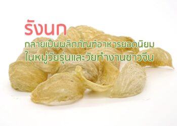 รังนกกลายเป็นผลิตภัณฑ์อาหารยอดนิยมในหมู่วัยรุ่นและวัยทํางานชาวจีน