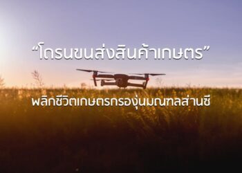 “โดรนขนส่งสินค้าเกษตร” พลิกชีวิตเกษตรกรองุ่นมณฑลส่านซี