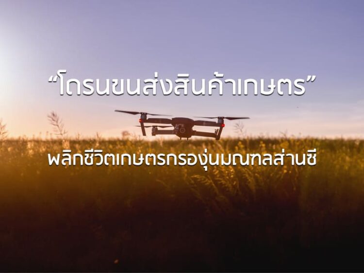 “โดรนขนส่งสินค้าเกษตร” พลิกชีวิตเกษตรกรองุ่นมณฑลส่านซี