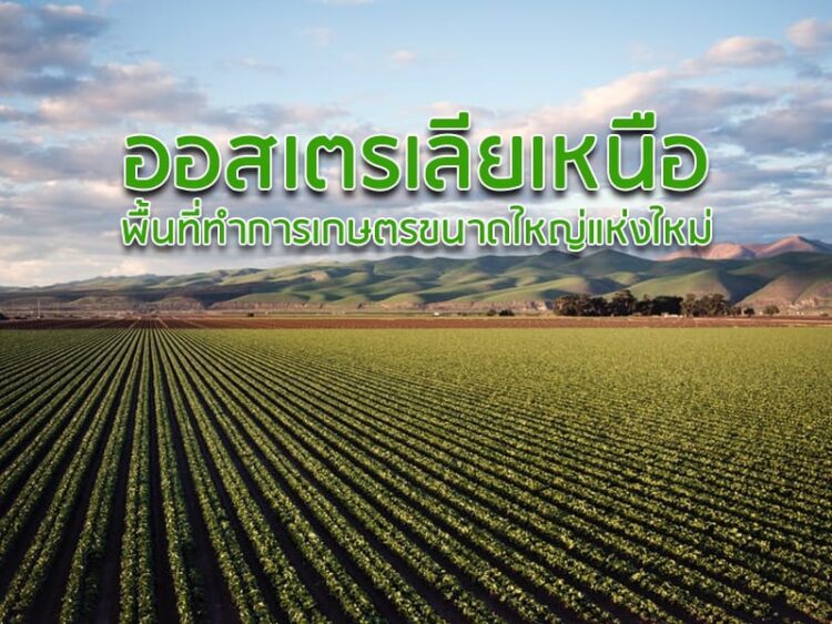 ออสเตรเลียเหนือพื้นที่ทําการเกษตรขนาดใหญ่แห่งใหม่