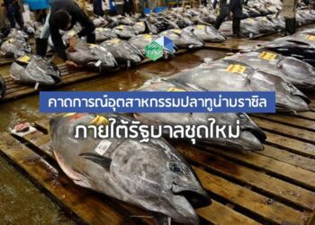 คาดการณ์อุตสาหกรรมปลาทูน่าบราซิลภายใต้รัฐบาลชุดใหม่