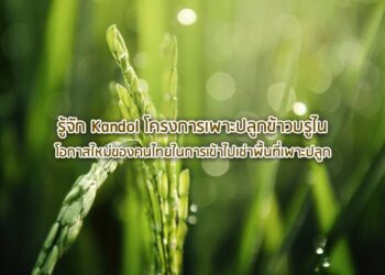 รู้จัก Kandol โครงการเพาะปลูกข้าวบรูไน โอกาสใหม่ของคนไทยในการเข้าไปเช่าพื้นที่เพาะปลูก