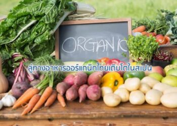 ลู่ทางอาหารออร์แกนิกไทยเติบโตในสเปน