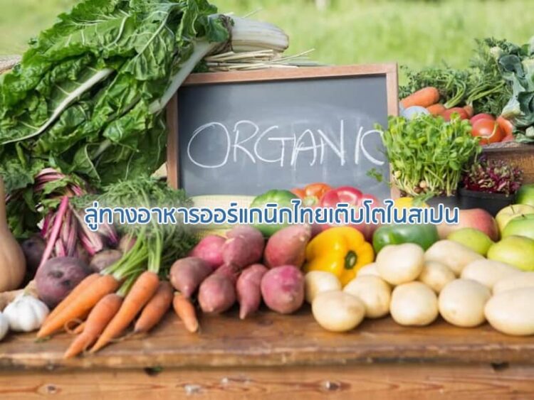 ลู่ทางอาหารออร์แกนิกไทยเติบโตในสเปน