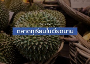 จับตามองตลาดทุเรียนในเวียดนาม