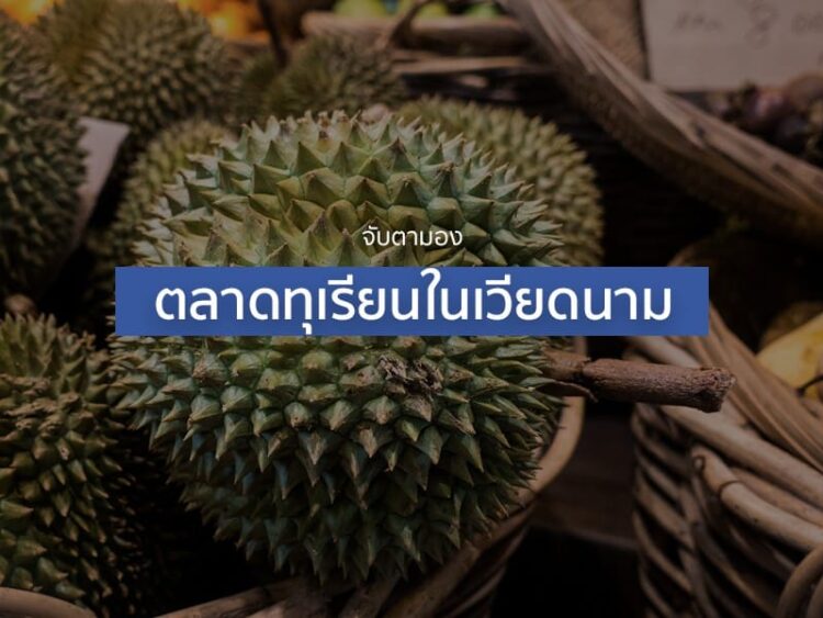 จับตามองตลาดทุเรียนในเวียดนาม