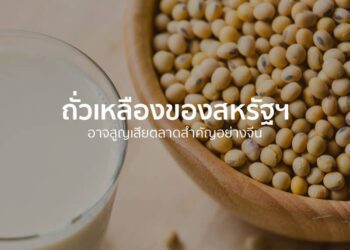 ถั่วเหลืองของสหรัฐฯ อาจสูญเสียตลาดสำคัญอย่างจีน