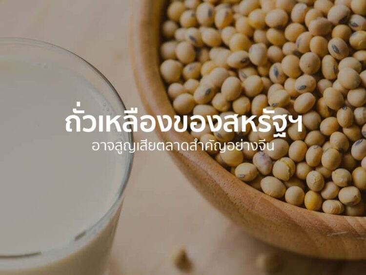 ถั่วเหลืองของสหรัฐฯ อาจสูญเสียตลาดสำคัญอย่างจีน