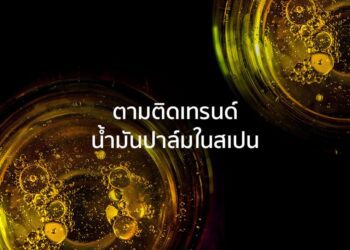 ตามติดเทรนด์น้ำมันปาล์มในสเปน