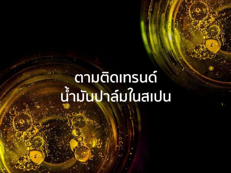 ตามติดเทรนด์น้ำมันปาล์มในสเปน