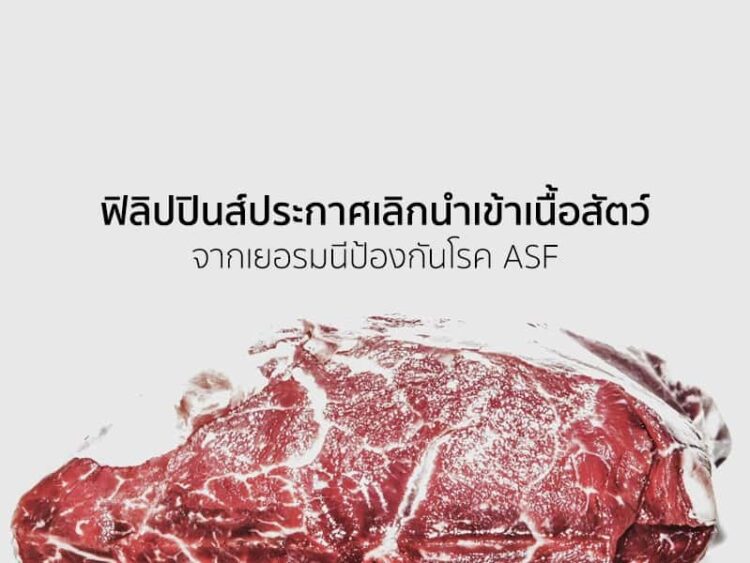 ฟิลิปปินส์ประกาศเลิกนำเข้าเนื้อสัตว์จากเยอรมนีป้องกันโรค ASF