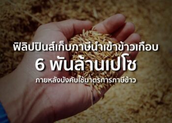 ฟิลิปปินส์เก็บภาษีนำเข้าข้าวเกือบ 6 พันล้านเปโซ ภายหลังบังคับใช้มาตรการภาษีข้าว