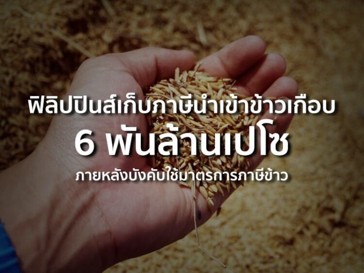 ฟิลิปปินส์เก็บภาษีนำเข้าข้าวเกือบ 6 พันล้านเปโซ ภายหลังบังคับใช้มาตรการภาษีข้าว