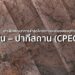 เจาะลึกพัฒนาการล่าสุด โครงการระเบียงเศรษฐกิจจีน – ปากีสถาน (CPEC)