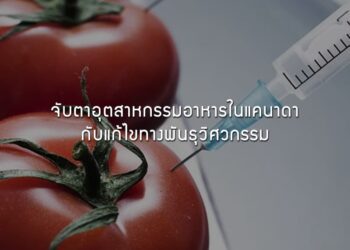 จับตาอุตสาหกรรมอาหารในแคนาดากับแก้ไขทางพันธุวิศวกรรม