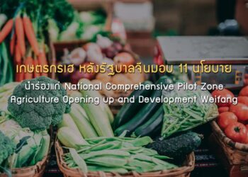 เกษตรกรเฮ หลังรัฐบาลจีนมอบ 11 นโยบาย นำร่องแก่ National Comprehensive Pilot Zone Agriculture Opening up and Development Weifang