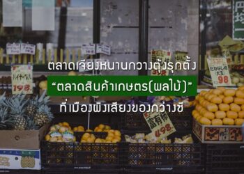 ตลาดเจียงหนานกวางตุ้งรุกตั้ง “ตลาดสินค้าเกษตร(ผลไม้)” ที่เมืองผิงเสียงของกว่างซี