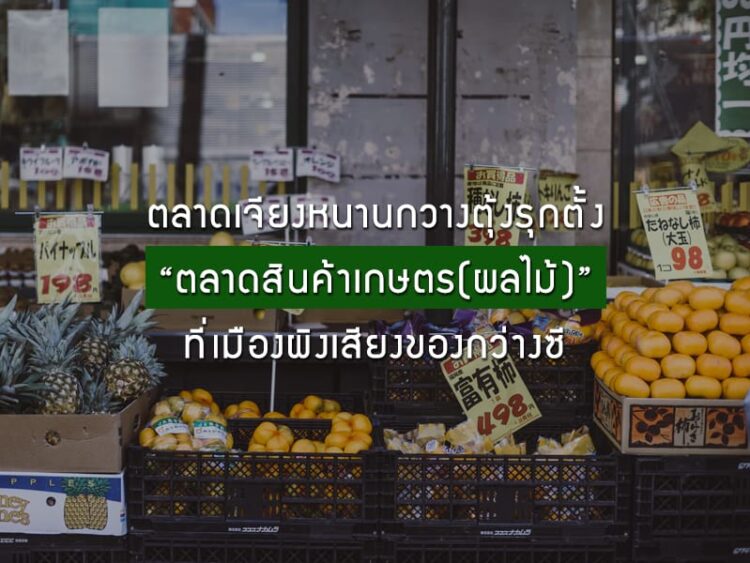 ตลาดเจียงหนานกวางตุ้งรุกตั้ง “ตลาดสินค้าเกษตร(ผลไม้)” ที่เมืองผิงเสียงของกว่างซี