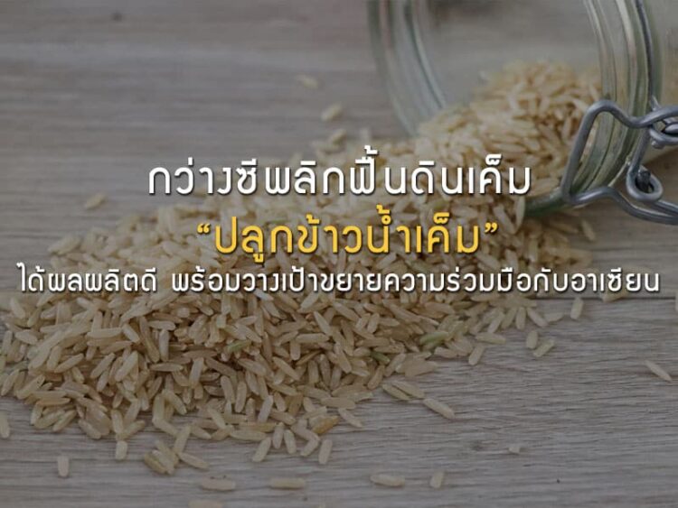 กว่างซีพลิกฟื้นดินเค็ม “ปลูกข้าวน้ำเค็ม” ได้ผลผลิตดี พร้อมวางเป้าขยายความร่วมมือกับอาเซียน