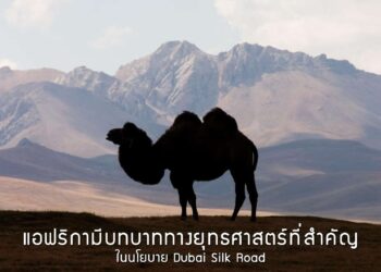 แอฟริกามีบทบาททางยุทธศาสตร์ที่สําคัญในนโยบาย Dubai Silk Road