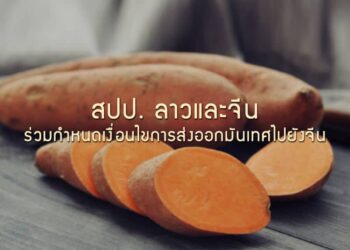 สปป. ลาวและจีนร่วมกําหนดเงื่อนไขการส่งออกมันเทศไปยังจีน