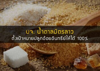 บจ. น้ำตาลมิตรลาว ตั้งเป้าหมายส่งเสริมประชาชนลาวปลูกอ้อยอินทรีย์ให้ได้ร้อยละ 100 เพื่อเพิ่มความสามารถในการแข่งขันในตลาดสหภาพยุโรป