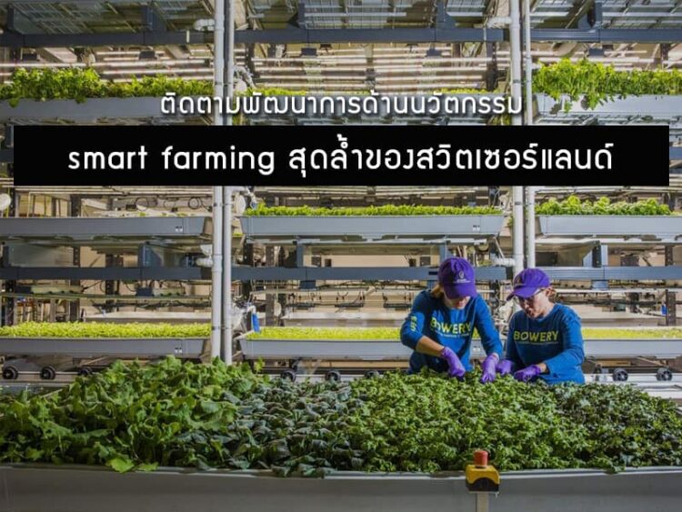 ติดตามพัฒนาการด้านนวัตกรรม smart farming สุดล้ำของสวิตเซอร์แลนด์